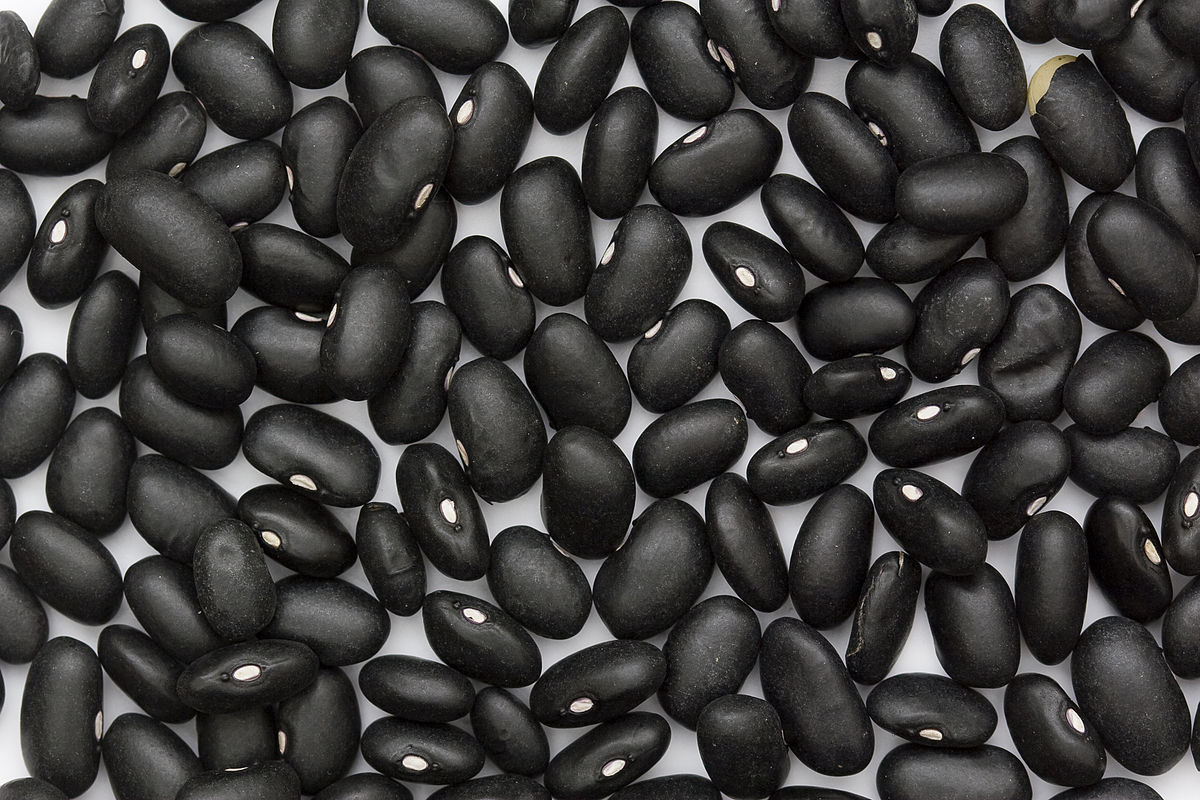 Black Turtle Beans 50 Lb