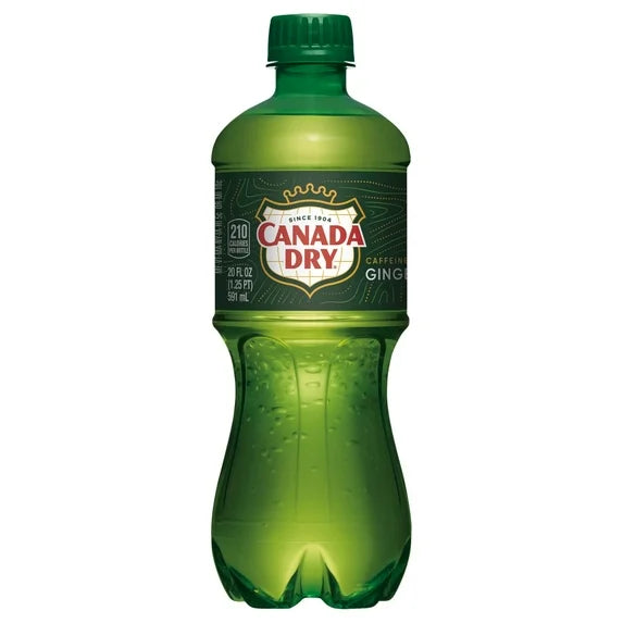 20 oz Ginger Ale 1 x 24