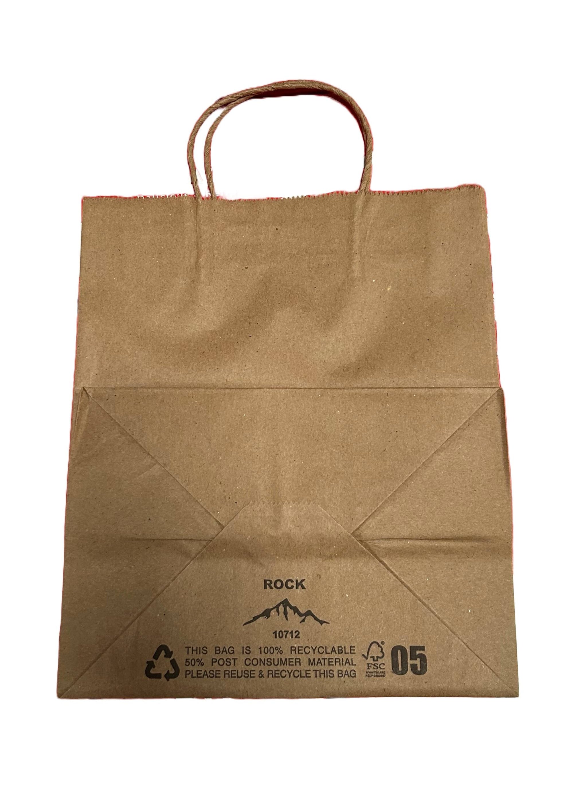 Shopping Bag Plain 10 x 7 x 12 Inch Container with Handle 250 CS