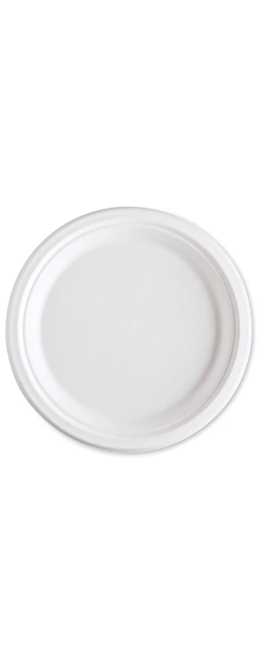 (SM) 9" Paper Plate - 1000 count