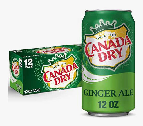 Cans Ginger Ale- Dry 12